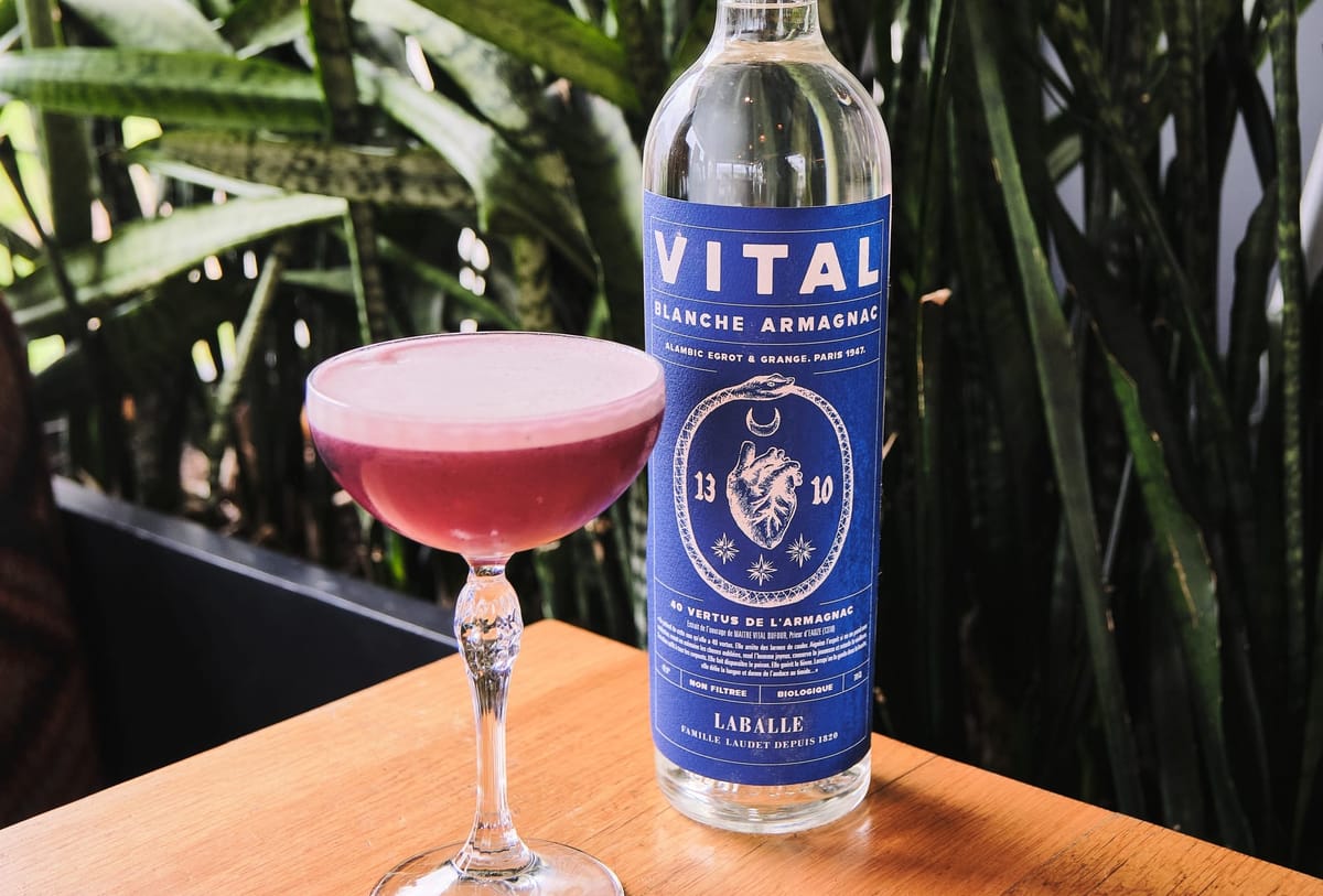 VITAL : quand l'Armagnac renoue avec ses origines mystiques